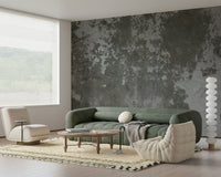 Distressed Wall Mural -2566583