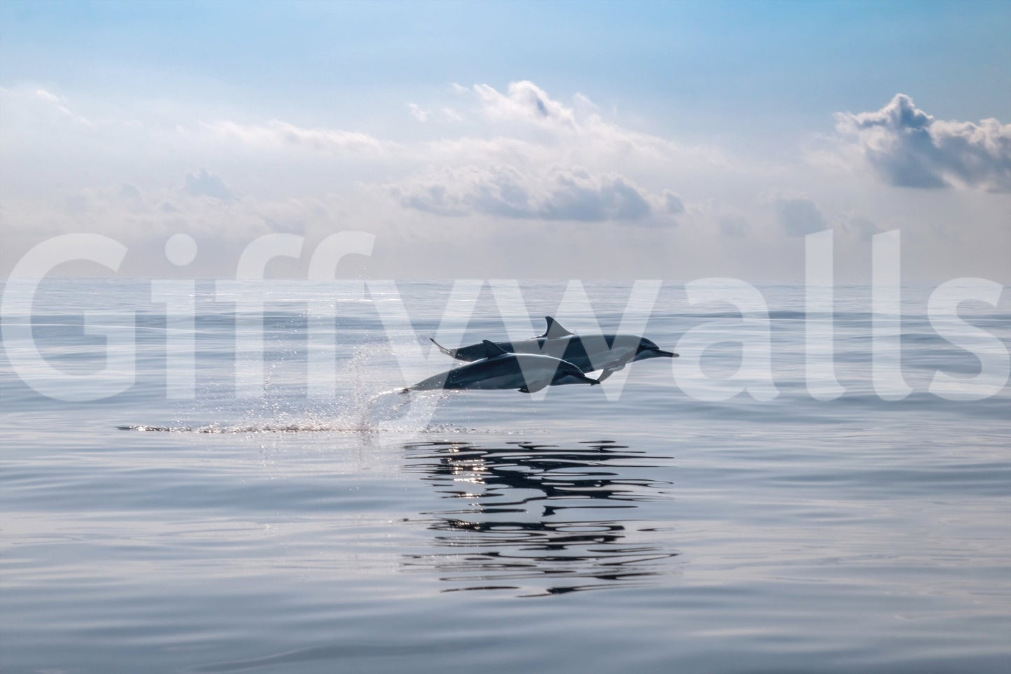 Dolphin’s Leap Wall Mural in entryway, coastal wall decor, clean modern finish