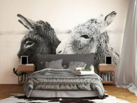 Donkey Love Wall Mural in a hallway with neutral carpet.