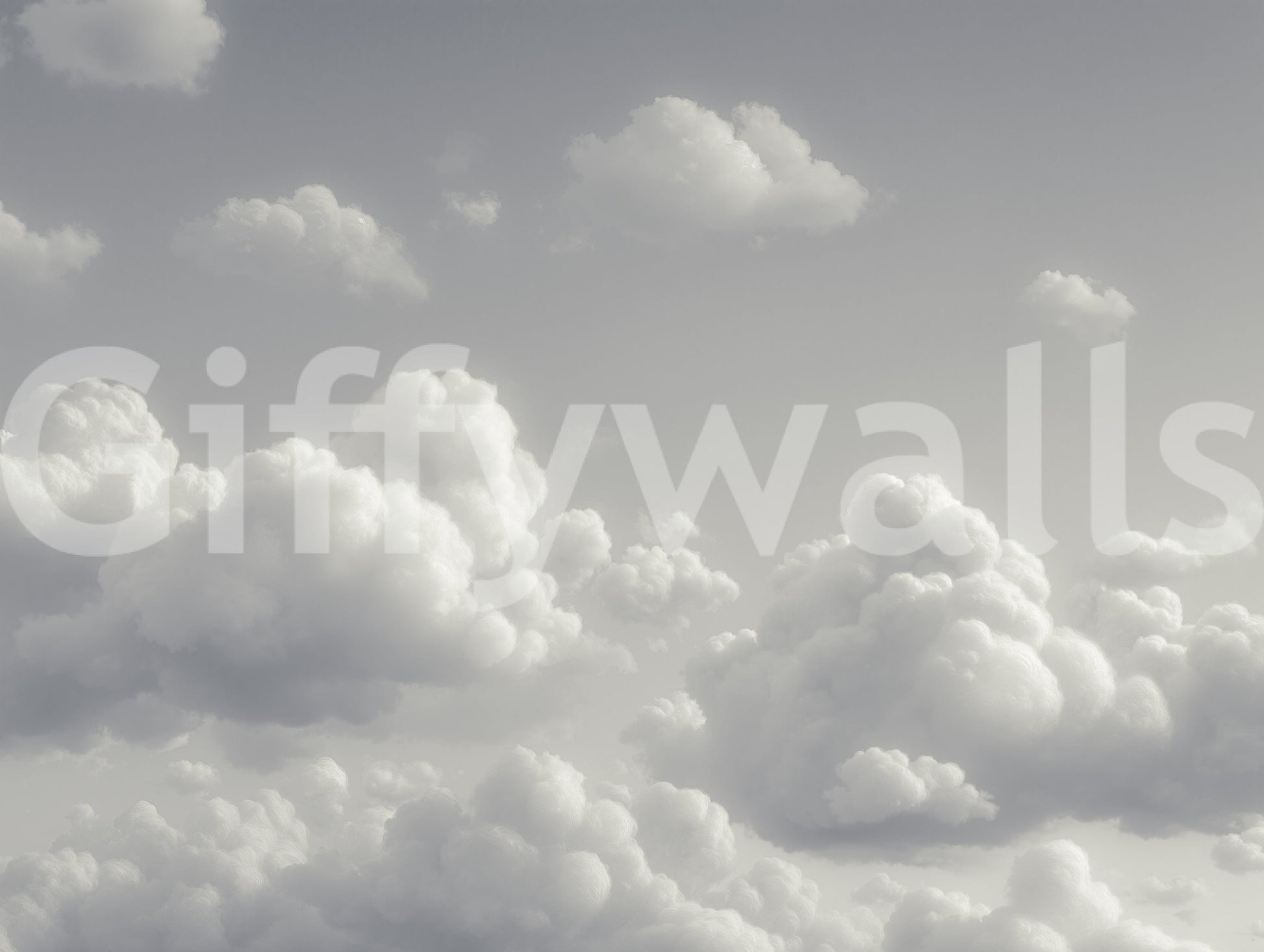 A high-quality minimalist sky wall mural for walls.



