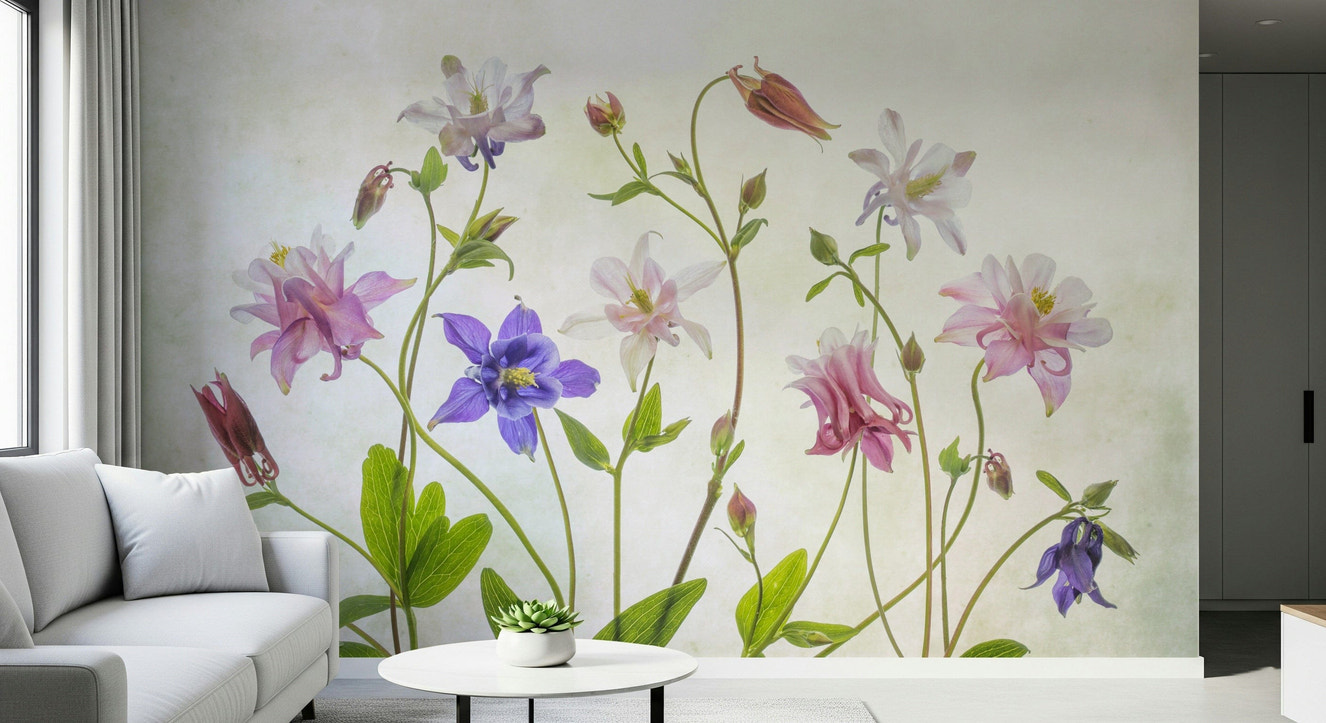 A beautiful soft focus floral wallpaper mural with columbine flowers.


