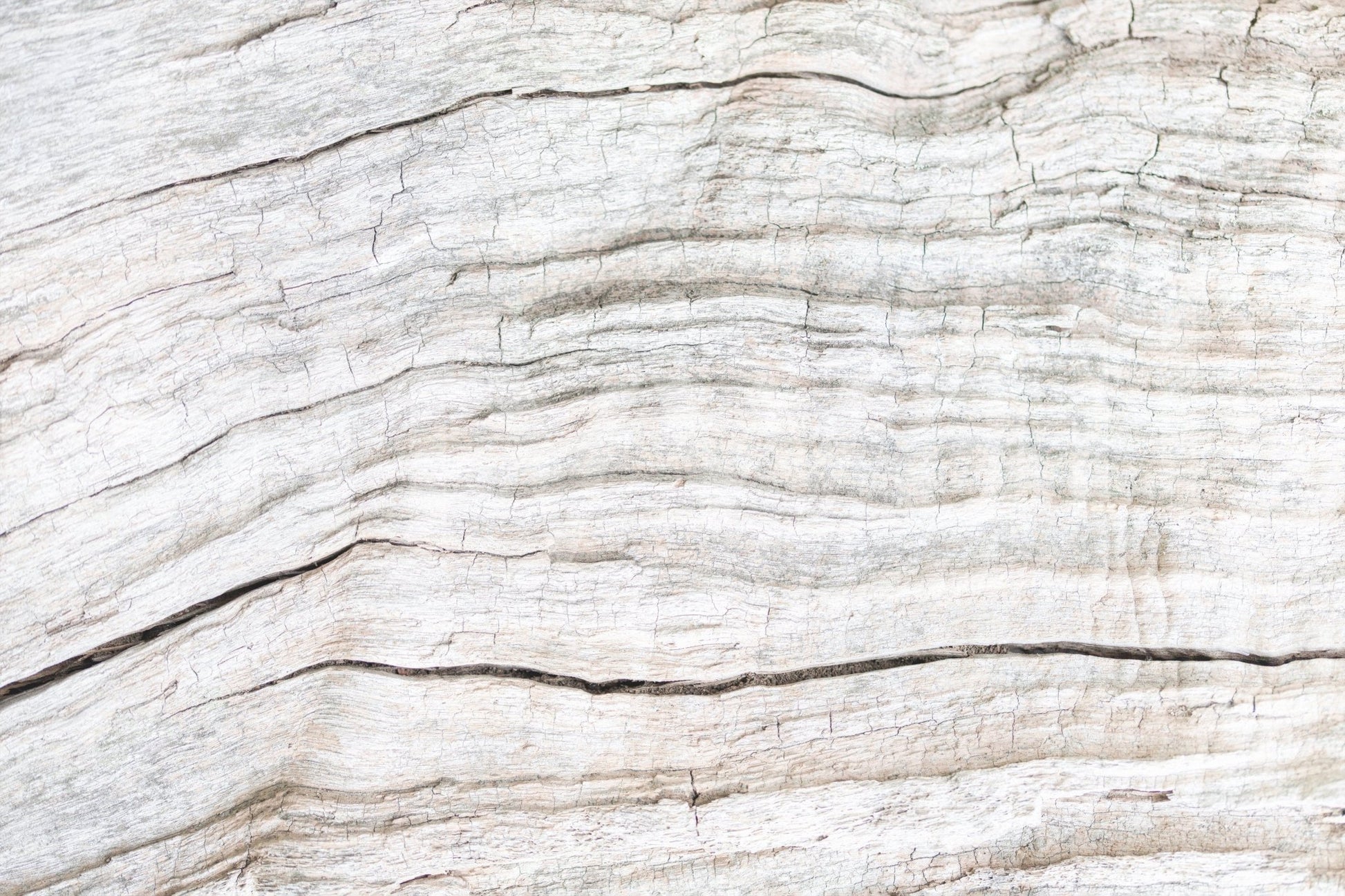 Light timber aesthetic created by Driftwood Texture Wall Mural soft grain flow