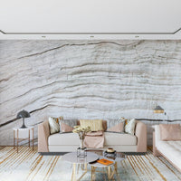 Subtle grain variation seen in Driftwood Texture Wall Mural natural wall layer