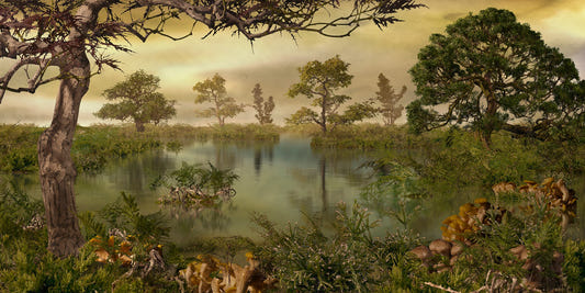 Landscape Forest Autumn Wallpaper Murals