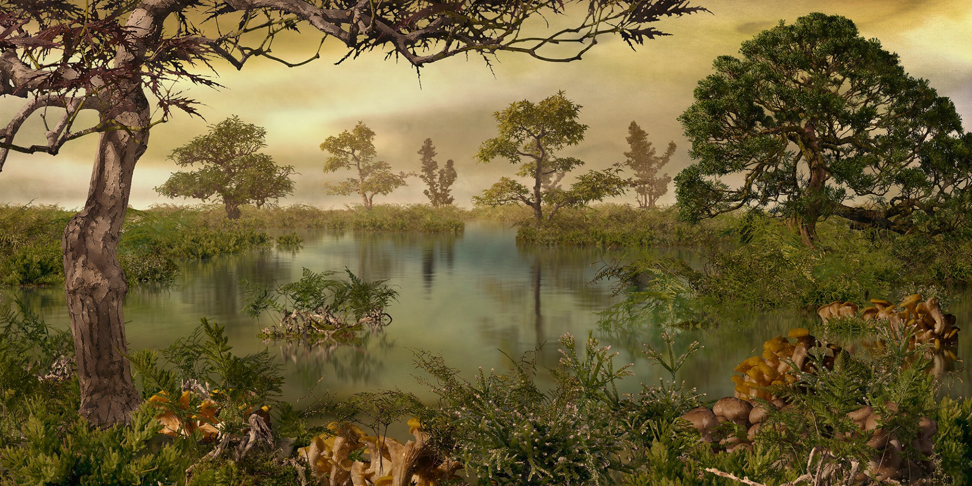 Landscape Forest Autumn Wallpaper Murals