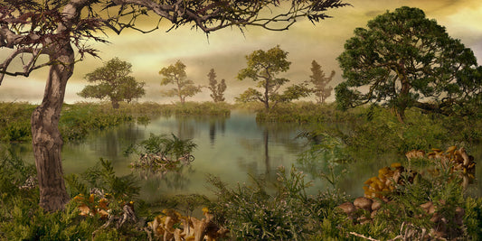Landscape Forest Autumn Wallpaper Murals