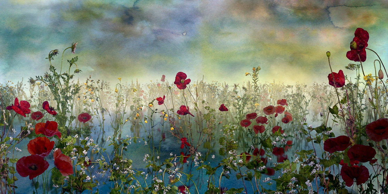Azure Petal Panorama Poppy Blue Flower Wall Mural