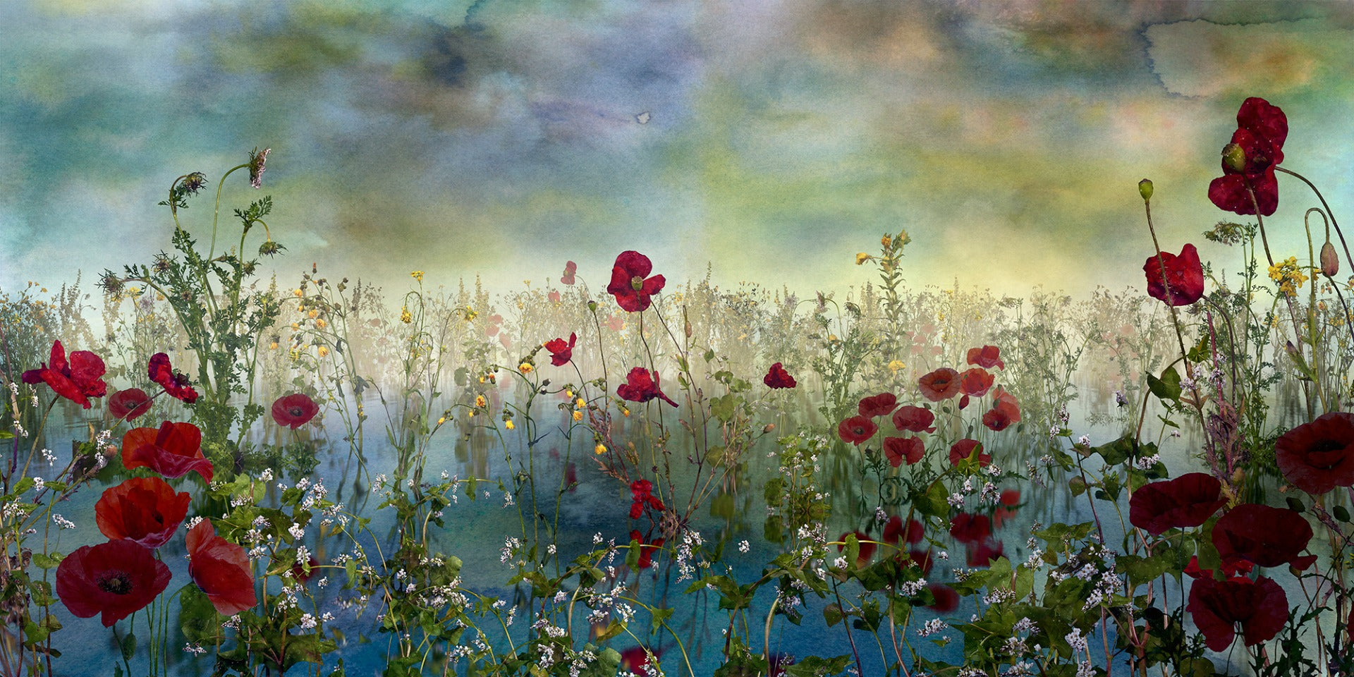Azure Petal Panorama Poppy Blue Flower Wall Mural in your room — zoomed
