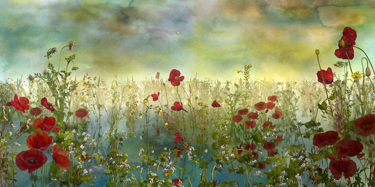 Poppy Flower Watercolor Green Wallpaper Murals in your room — zoomed