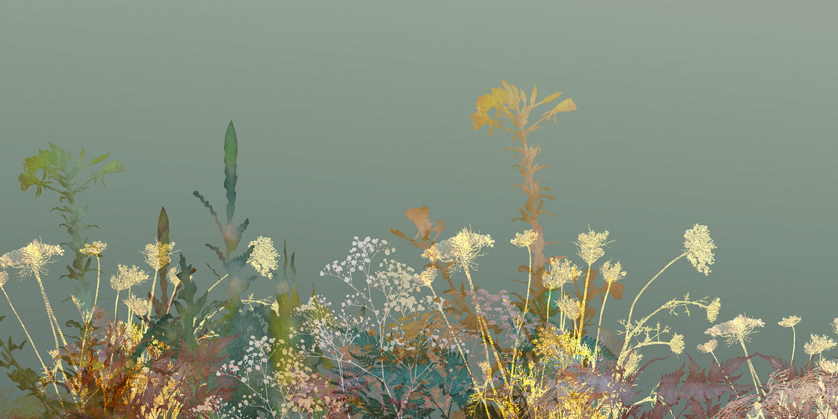 Wild Flower Design Art Wallpaper Murals in your room