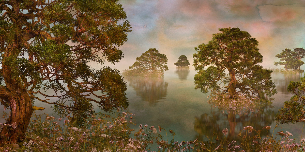 Watercolor Lake Sunset Forest Wallpaper Murals in your room