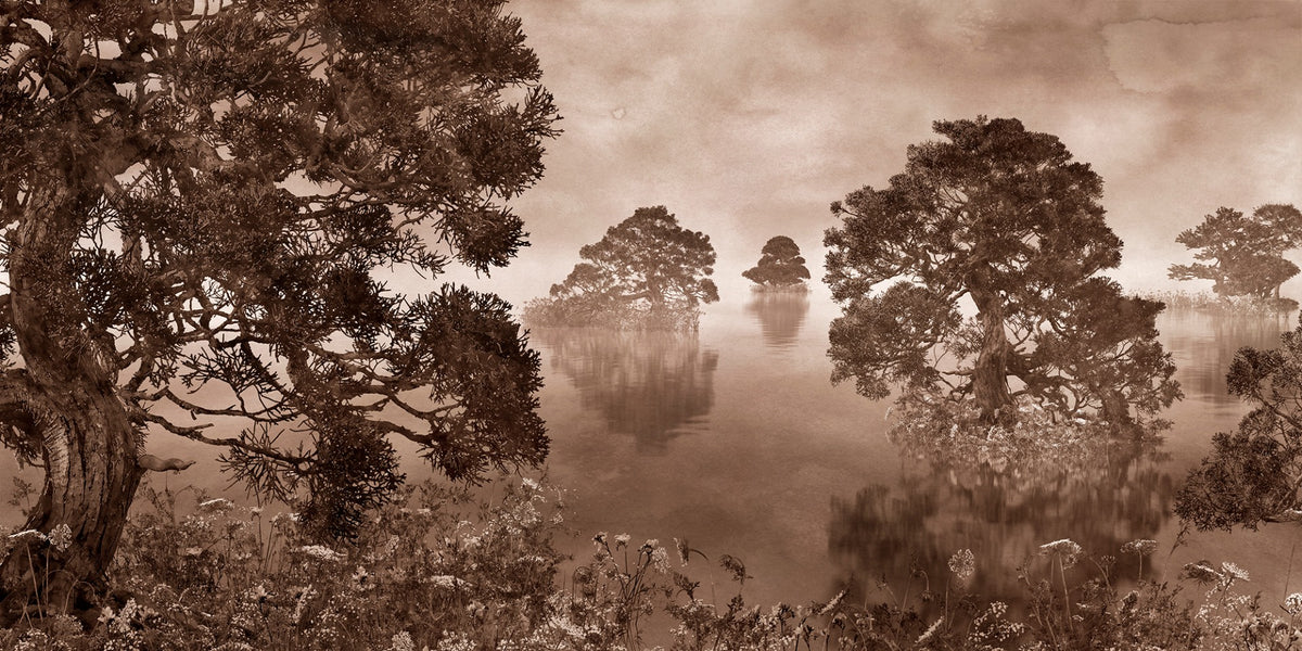 Watercolor Lake Monochrome Ink Sepia Wallpaper Murals