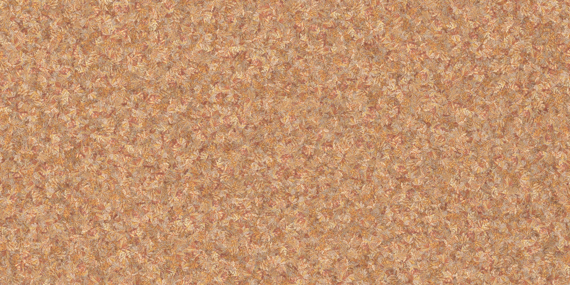 Brown Color Autumn Leaves Wallpaper Murals in your room — zoomed