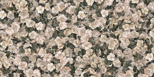 White Begonia Flower Wallpaper Murals