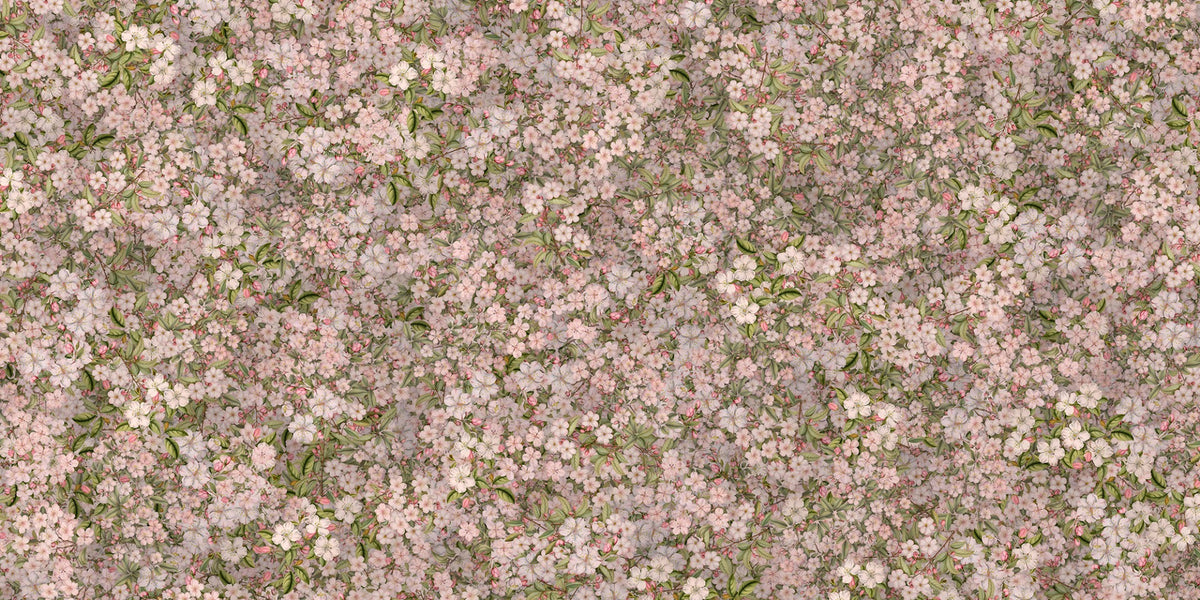 Pink and Green Cherry Blossom Flower Wallpaper Murals in your room