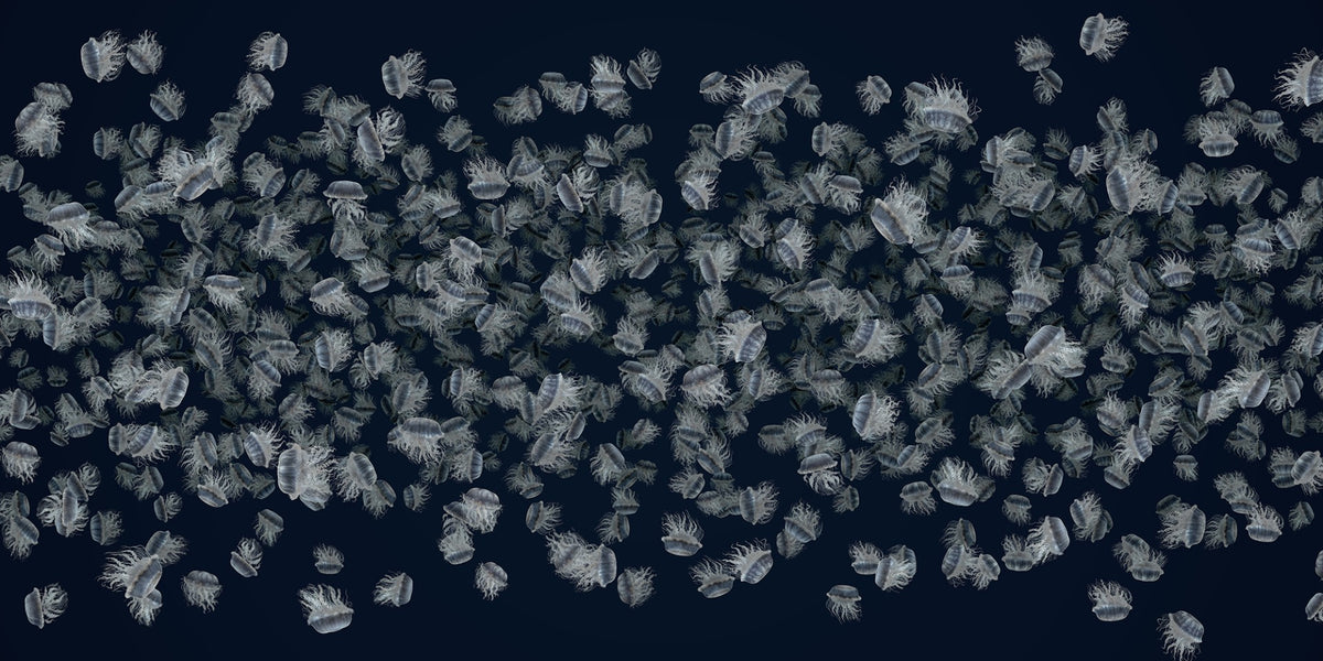 Dancing Jellyfish White on Dark Blue Wallpaper Murals