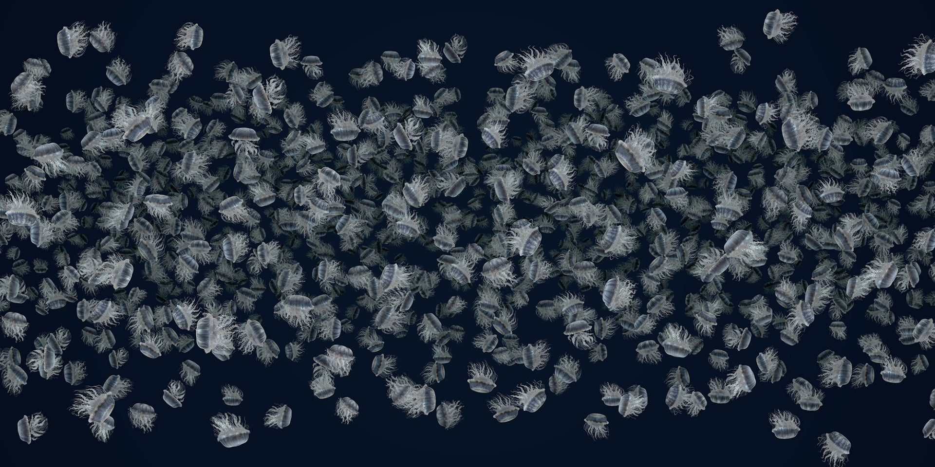 Dancing Jellyfish White on Dark Blue Wallpaper Murals in your room — zoomed