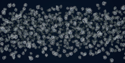 Dancing Jellyfish White on Dark Blue Wallpaper Murals