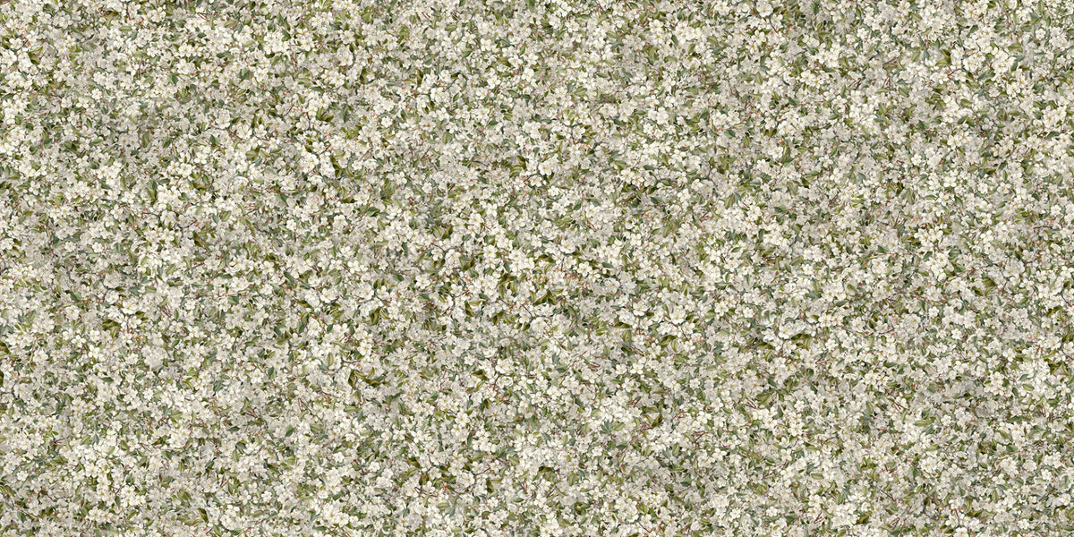 Pear Blossom White Flowers Wallpaper Murals in your room — zoomed
