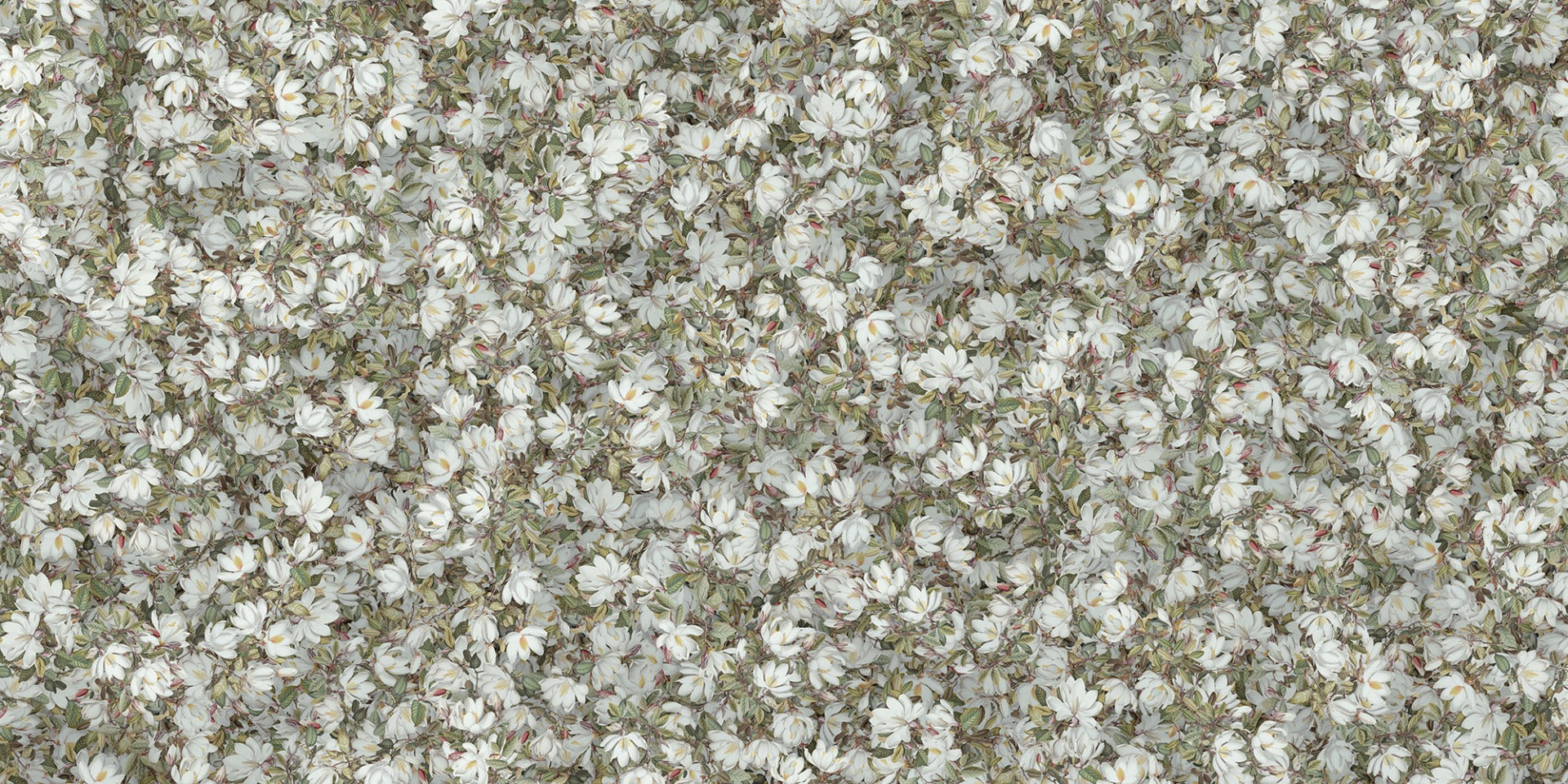 White Magnolia Floral Wallpaper Murals