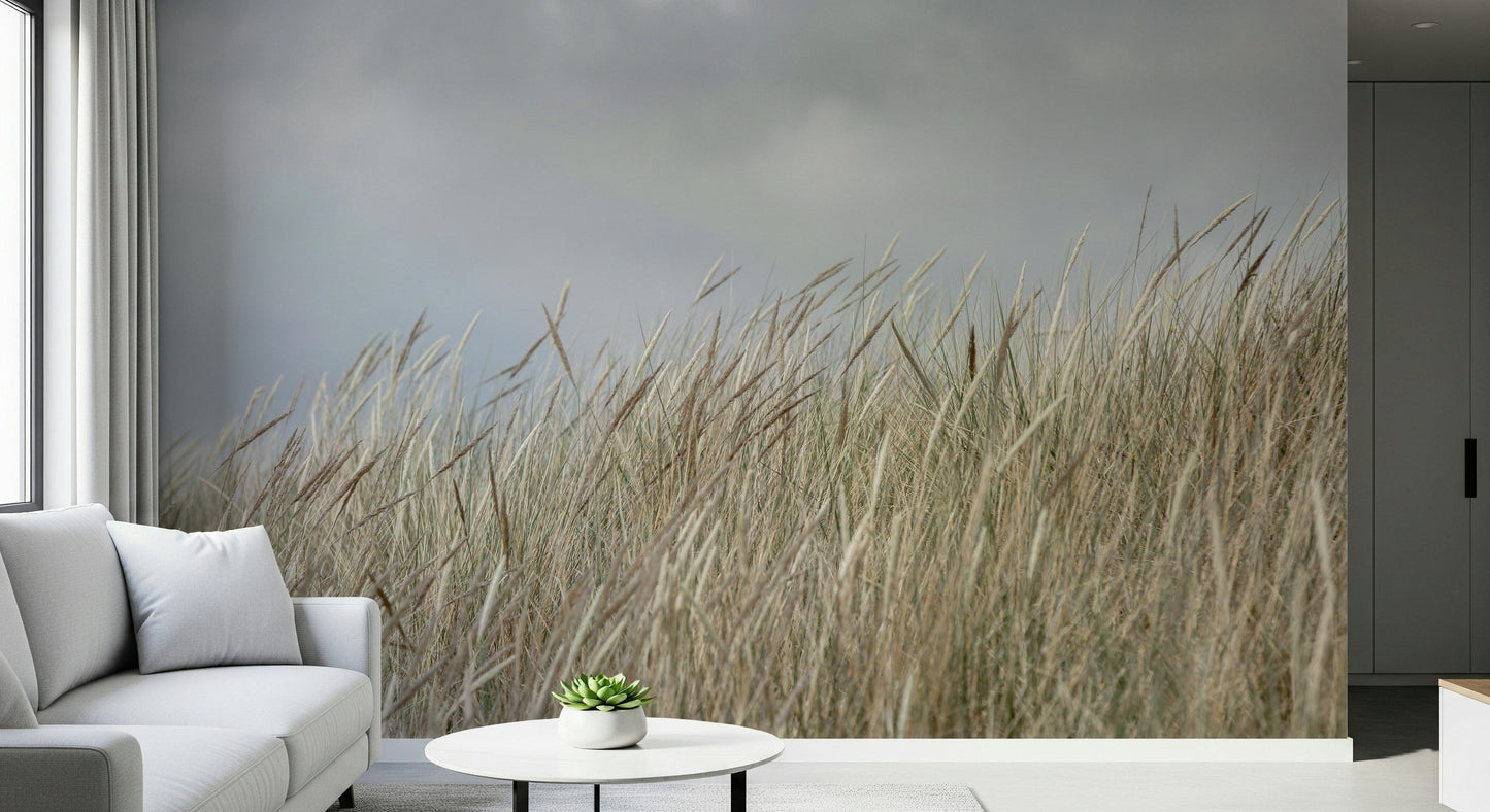 Close up texture of dry reeds on Woodland Dune Grass wall mural.