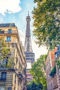 Eiffel Elegance Wall Mural
