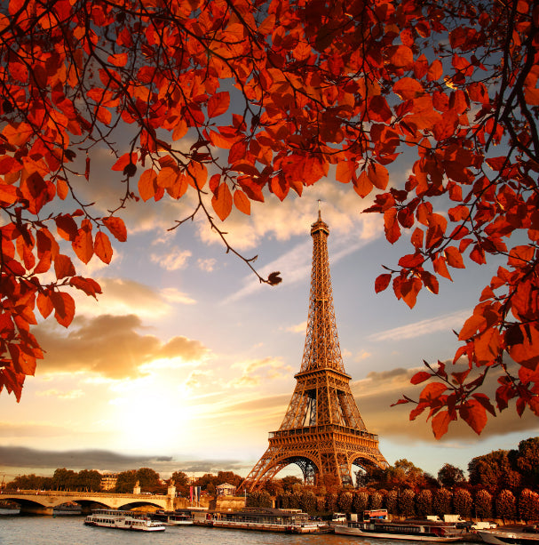 Eiffel Tower Autumn Leaves Wallpaper Murals in your room — zoomed