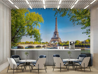 A beautiful iconic Paris wallpaper mural of the cityscape.

