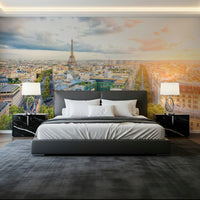 Eiffel's Dawn Wall Mural