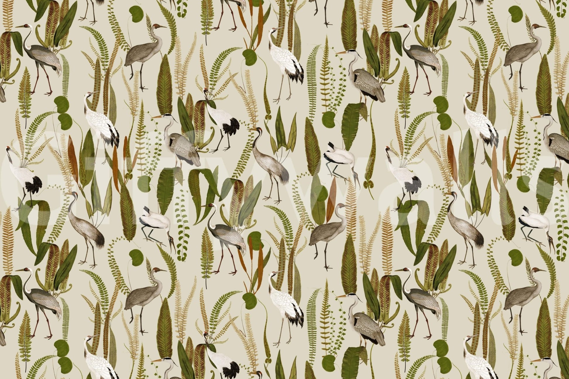Elegant Vintage Crane Garden wallpaper mural shown as a full-wall design of gray cranes among ferns and reeds on cream