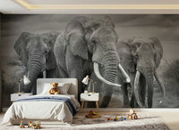 Wall mural depicting a majestic elephant with subtle textures and natural tones.