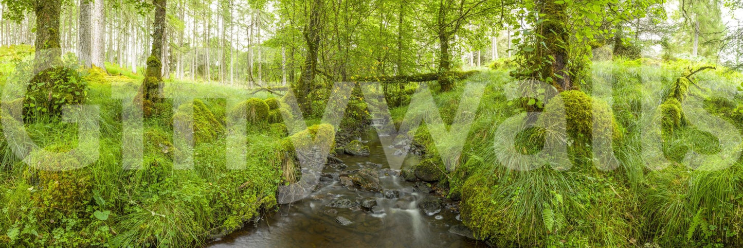 The lighting is natural and clear.

