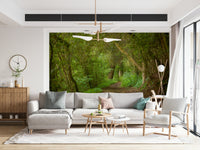 Secluded woodland route residence wallpaper calming verdant vision.