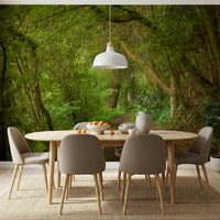 Forested nature wallpaper quiet dirt track serene setting.