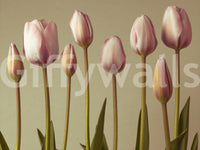 Spring tulip wall mural in muted shades