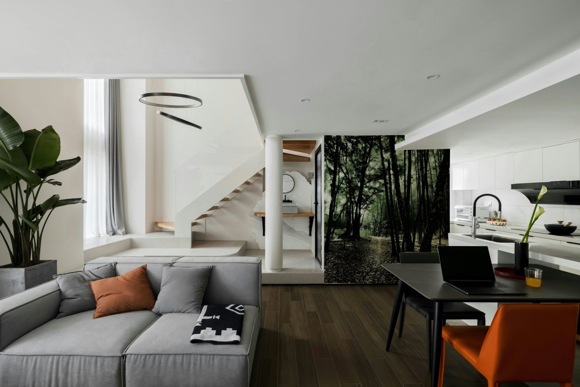 Sunlight filtering through the leaves onto the path
