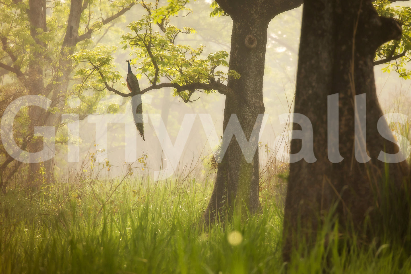 Artistic delicate haze effect on Enchanted Lush Forest wallpaper.