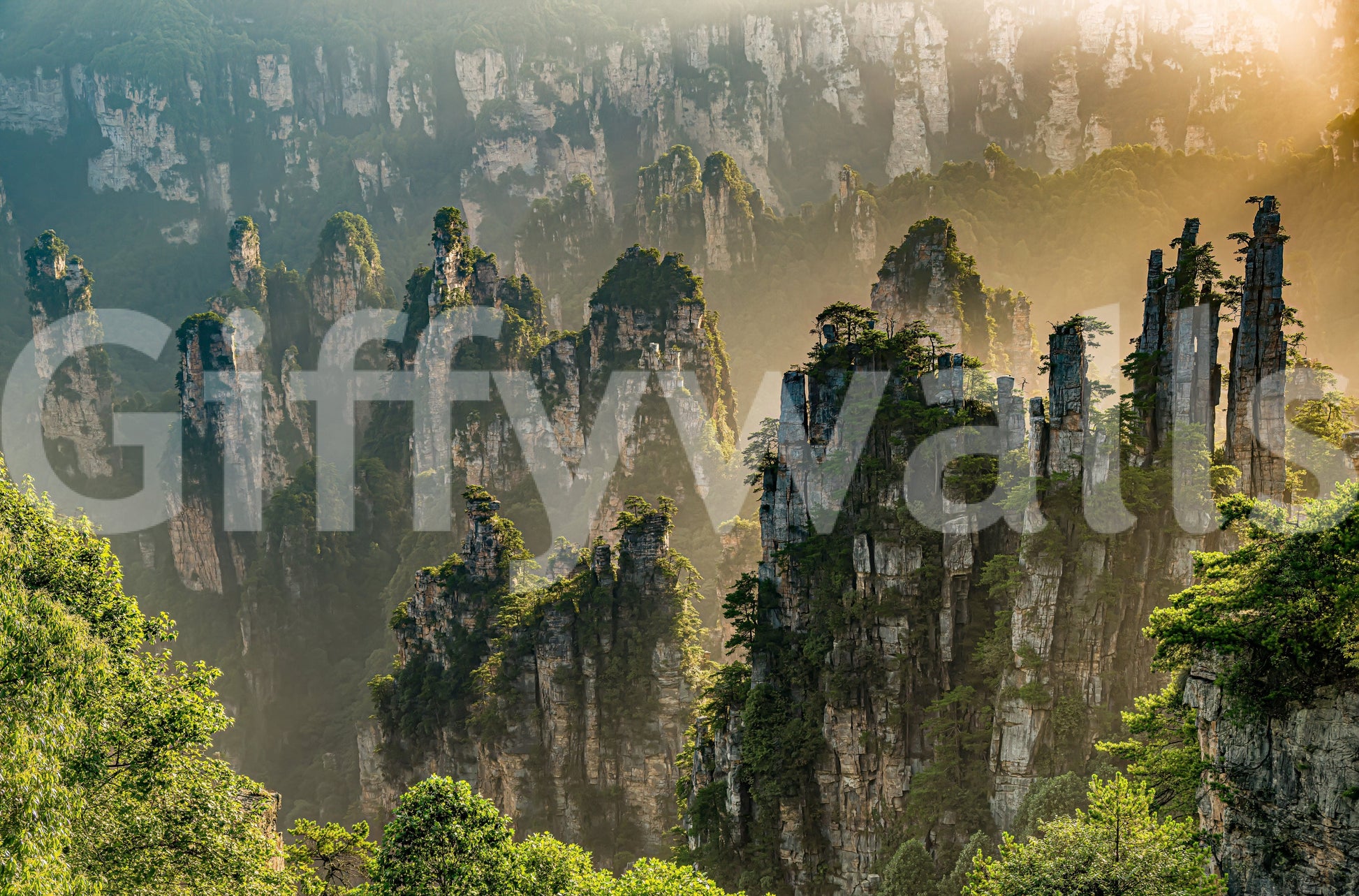 Heavenly woodland peaks, dizzying heights, serene wallpaper for walls, calming.