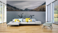 The mood is peaceful and tranquil.

