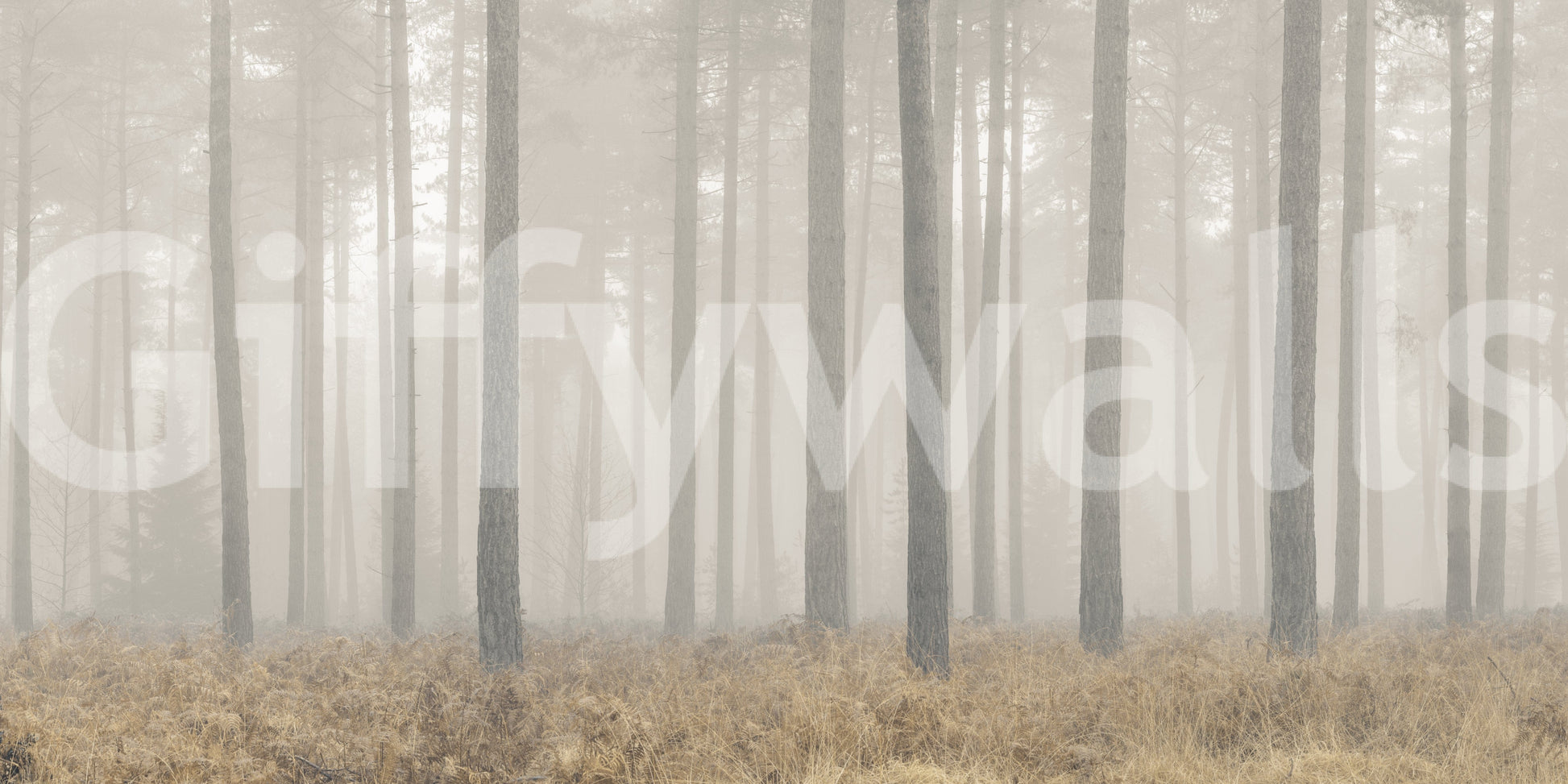 A high-quality minimalist wall mural for walls.

