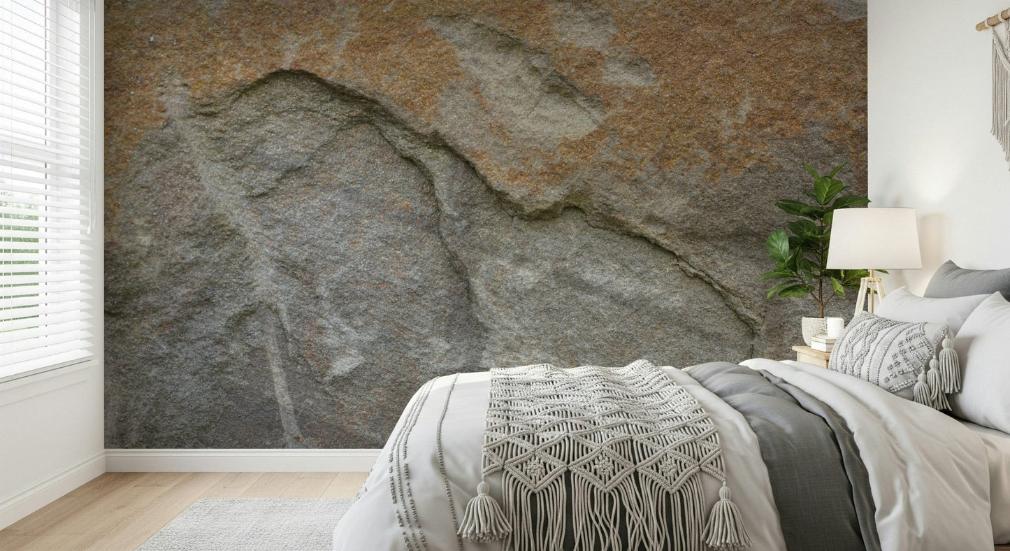 Eroded Rock Face Wall Mural -2566610