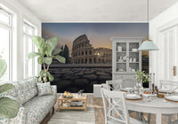Historic Rome Colosseum wall mural in dining area, classic travel style, soft earthy colors