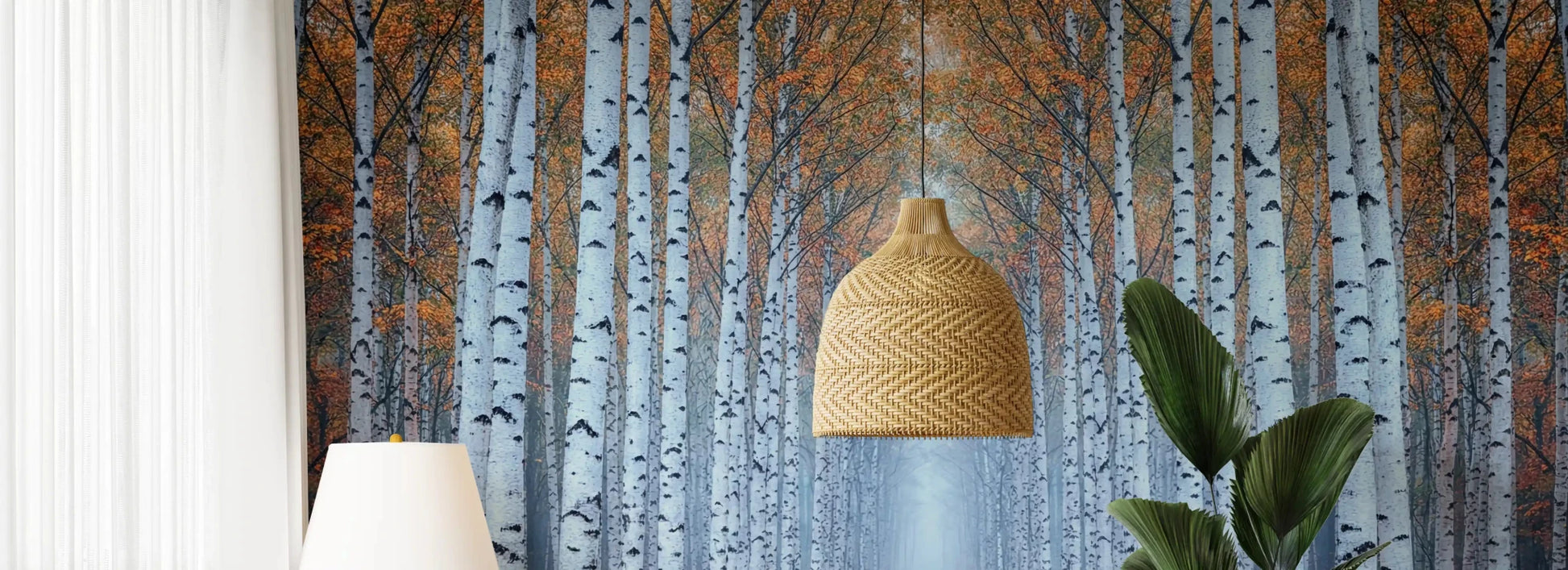 Birch forest wall mural with orange leaves and mist