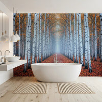 Scenic birch tree mural with soft fog and autumn tones