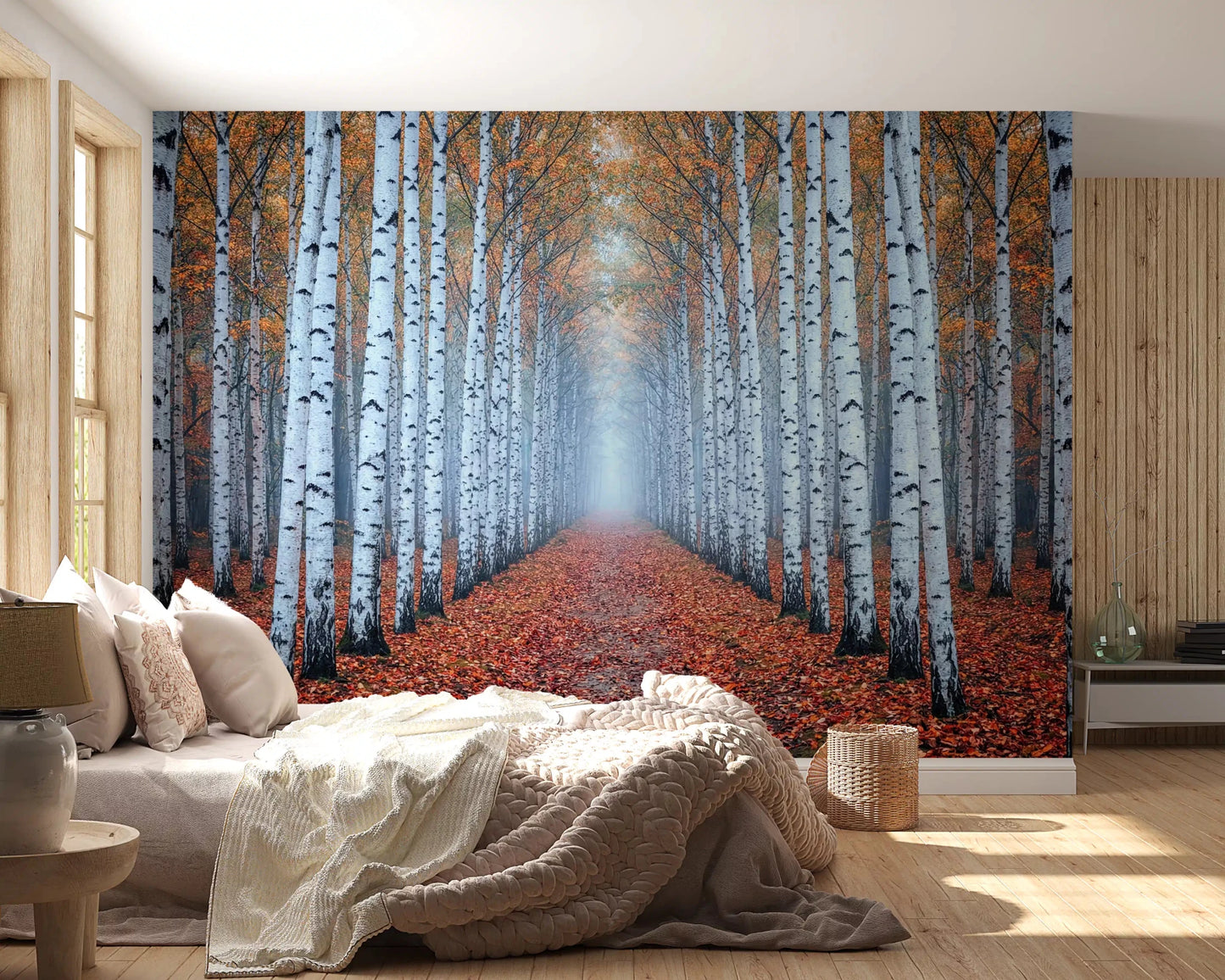 Autumn woodland mural with white trees and pathway