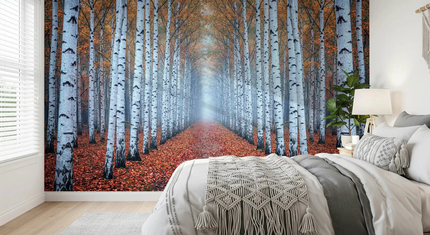 Nature forest mural with birch trunks and fallen leaves