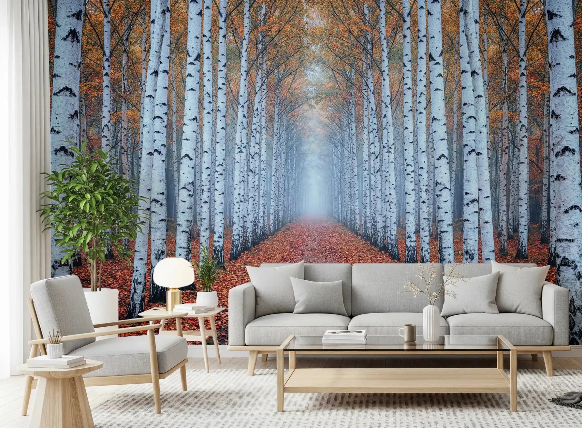 Office room birch tree mural with autumn ground view
