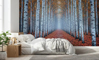 Forest pathway mural with tall white birch trees