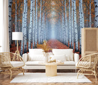 Living room birch forest mural with autumn leaves path