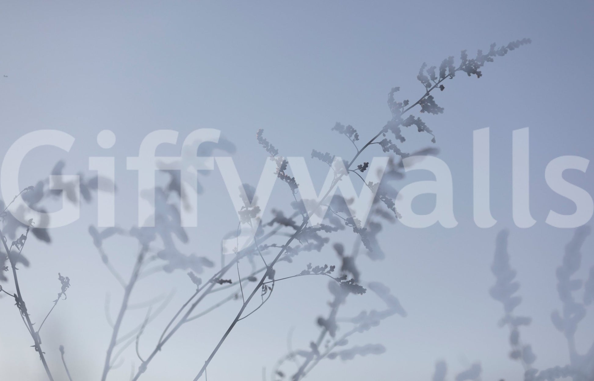 Subtle nature mural wallpaper
